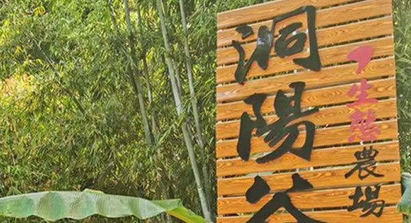 廣有合頁2019踏春拓展--經(jīng)歷中成長，成長中經(jīng)歷?