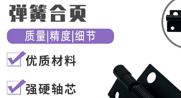 彈簧合頁，你身邊信賴的合頁|廣有五金&東莞合頁?